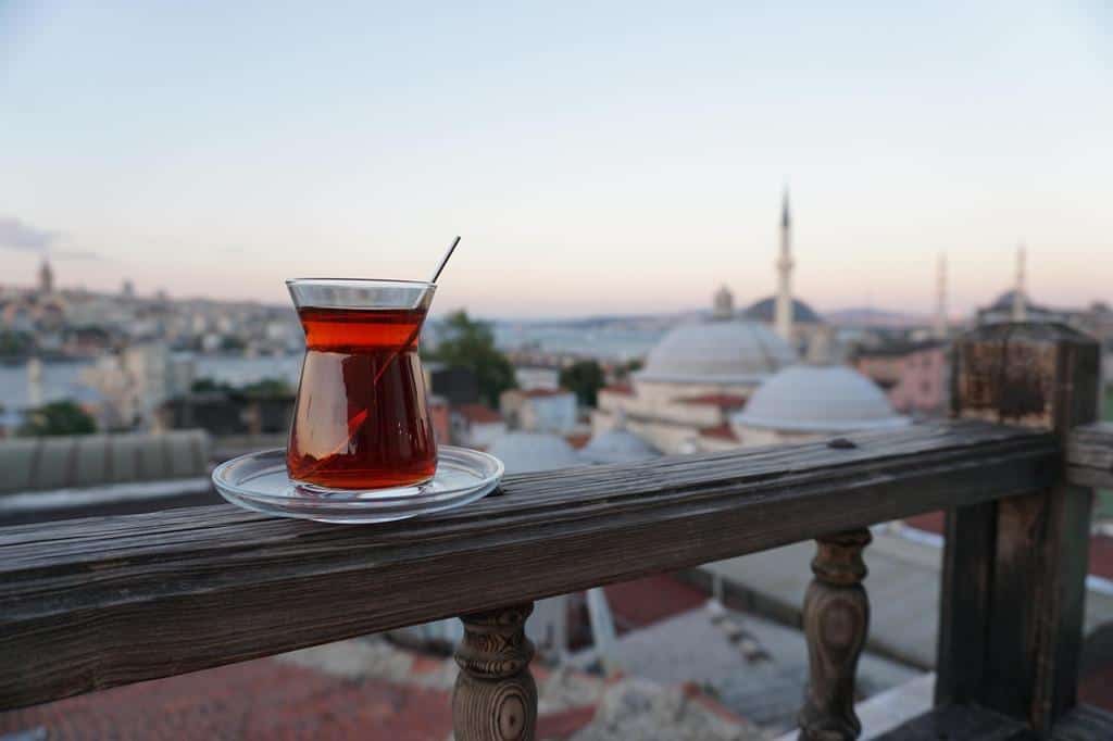Aleyna Tilki Kimdir?