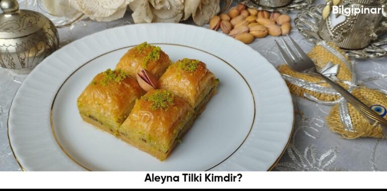 Aleyna Tilki Kimdir6