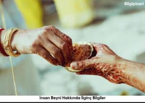 İnsan Beyni Hakkında İlginç Bilgiler