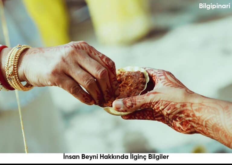 Insan Beyni Hakkinda Ilginc Bilgiler6