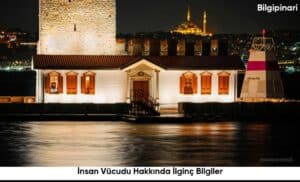 İnsan Vücudu Hakkında İlginç Bilgiler