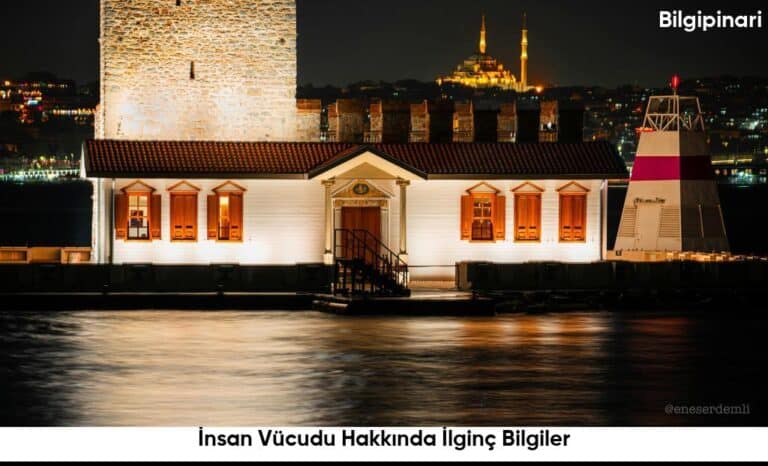 Insan Vucudu Hakkinda Ilginc Bilgiler6