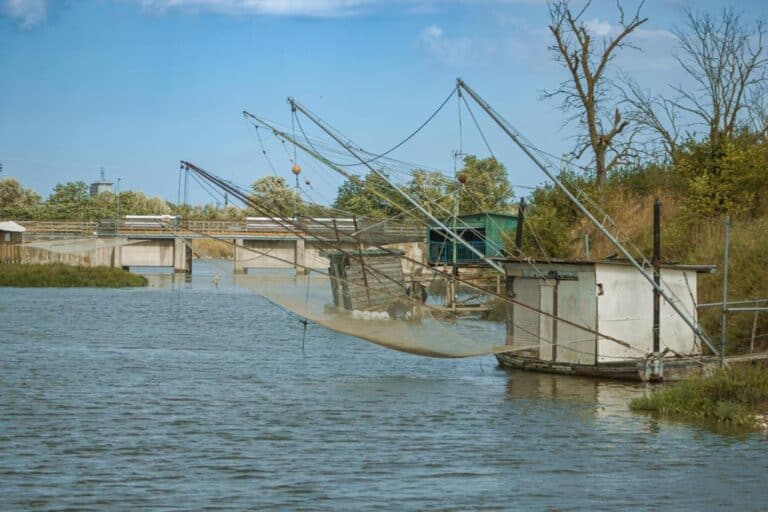 Günlük Hayatta Duyunca Şaşıracağınız 10 İlginç Bilgi