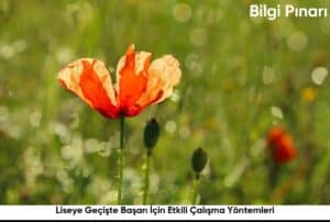 Liseye Geciste Basari Icin Etkili Calisma Yontemleri6