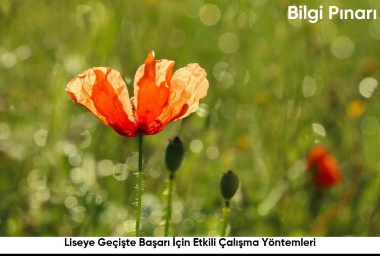 Liseye Geciste Basari Icin Etkili Calisma Yontemleri6