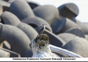 Odaklanma Problemini Yenmenin Psikolojik Yöntemleri