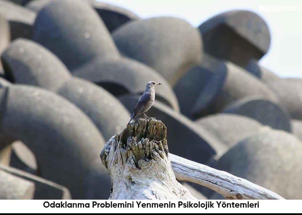 Odaklanma Problemini Yenmenin Psikolojik Yontemleri6