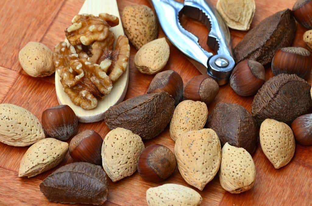 Sağlıklı Beslenmenin Altın Kuralları: Bilimsel Yaklaşımla Doğru Bilinen Yanlışlar