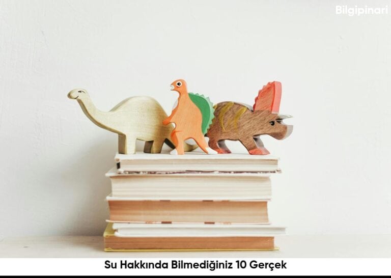 Su Hakkinda Bilmediginiz 10 Gercek6