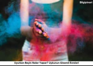 Uyurken Beyin Neler Yapar? Uykunun Gizemli Evreleri