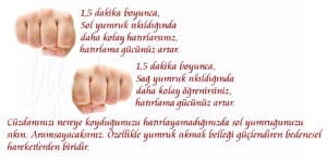 Bilimsel 10 Gerçeği Anlatan Şaşırtıcı Keşifler