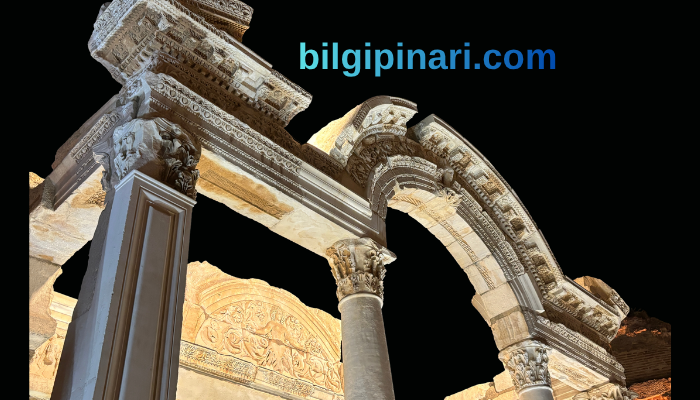 BilgiPinari.com: Bilginin Akıp Geldiği Dijital Pınar